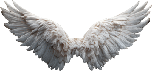 White angel wing feather symbolizing freedom, purity, and hope