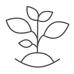 Plant in hole with soil thin line icon, spring season concept. Vector graphics. Sprout in ground, gardening sign on white background, outline style icon for mobile or web design.