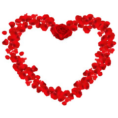 heart red rose petals  confetti on a white background