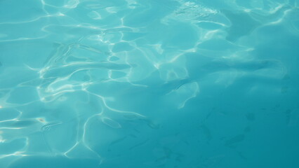 blue water in the pool