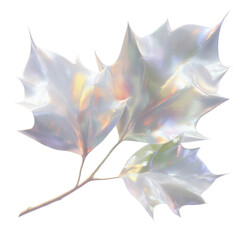 Iridescent Maple Leaves Abstract Nature Photography