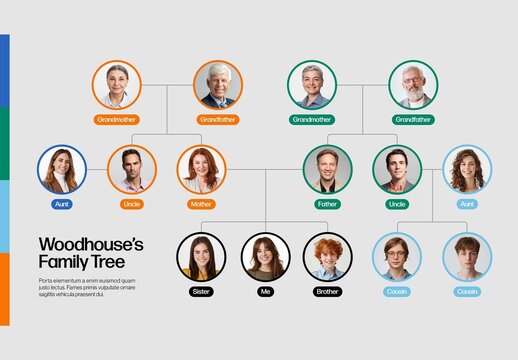 Family Tree Infographic Template with Bold Colors for Org Chart Layouts