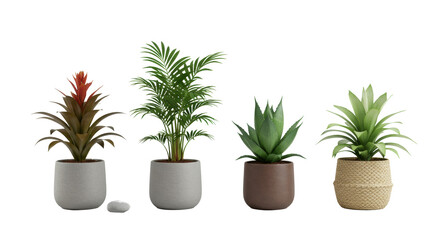 Obraz premium Linear display of four potted plants in varied pots with pebble, on solid transparent, photorealistic product shot, clean, minimalist, botanical display