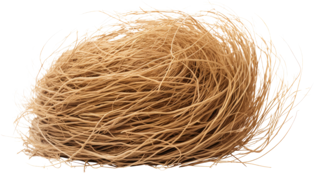 Natural bird nest on white background isolated on white background
