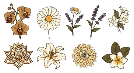 A collection of elegant, hand-drawn botanical flower illustrations in a warm, earthy color palette.