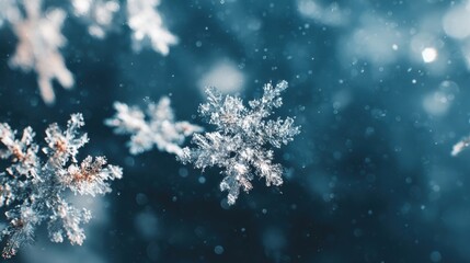 Fototapeta premium Detailed Macro Photograph of Snowflakes Capturing Winter's Beauty with a Blue Hued Background and Bokeh Elements