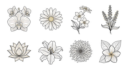 A collection of delicate, detailed line art illustrations showcasing various floral arrangements.