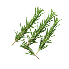 Fototapeta premium Three vibrant fresh green rosemary sprigs and scattered coarse sea salt, top-down flat lay on a transparent seamless studio background with high-key lighting, culinary product concept