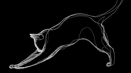 white line drawing of a cat