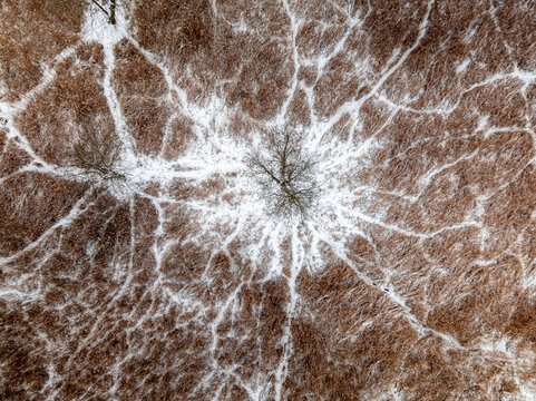 Aerial view of frozen wetlands and small streams in Poland.