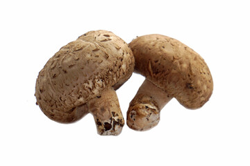 Fresh shiitake mushrooms placed on a white background.