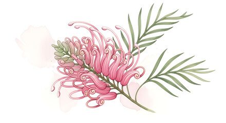 Delicate pink grevillea flower with intricate petals and green fern-like leaves, rendered in a soft watercolor style with subtle blush accents.