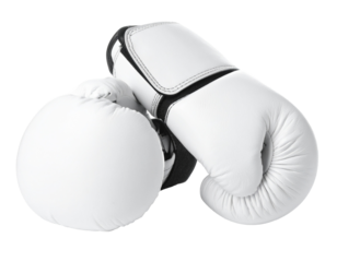 Boxing gloves icon isolated on a white background.