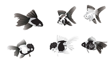 fish aquriam fish icon.EPS