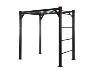Horizontal ladder gym equipment on a white background.