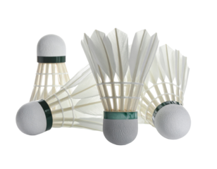 Two white badminton shuttlecocks on a white background.
