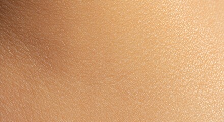 Closeup of smooth light brown human skin Fine lines and textures are visible