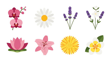 A collection of eight different floral illustrations, including orchids, daisies, lavender, lilies, lotus, dandelion, and plumeria, arranged in two rows against a white background.