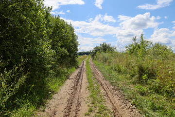 ​A wide field road, framed by dense green bushes and grass, stretches under a blue sky with fluffy clouds. The wheel tracks point the way deeper into the field, creating a sense of open space and tran