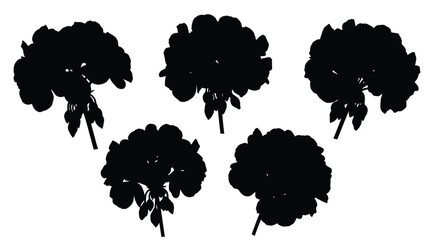 Set of five dark silhouette hydrangea flower heads with stems and leaves detailed botanical cutout vector