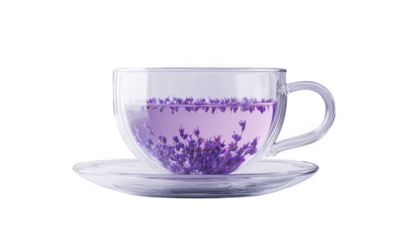 Cup of lavender tea with flowers isolated on transparent background