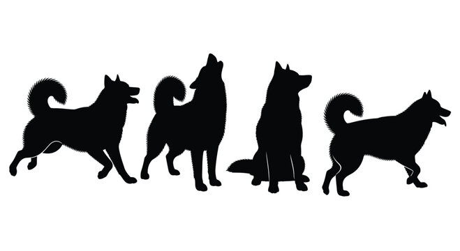 Dynamic silhouette series of four husky dogs in various poses and actions vector