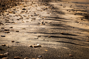 An atmospheric photograph of morning light on a beach on the Isle of Wight, with a shallow depth of field