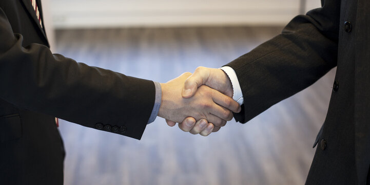 Business Handshake Symbolizing Trust and Partnership