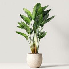 Tropical plant in cream pot