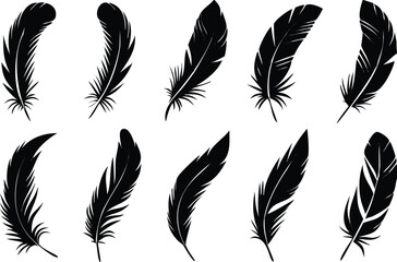 Elegant black feather silhouettes arranged on a white background for artistic design elements   © LEAKAT