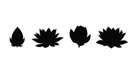 Four silhouette lotus flowers budding blooming different stages natural beauty vector