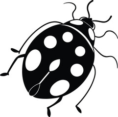 Obraz premium ladybird vector illustration