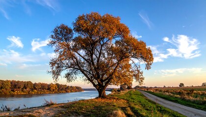 Obraz premium A vibrant autumn scene by a river, showcasing a large, golden-hued tree with a picturesque landscape and clear sky.