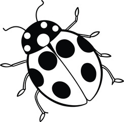 ladybird vector illustration