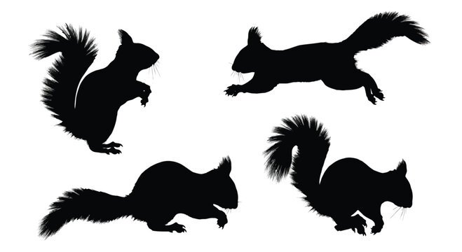 Four dynamic black silhouettes of squirrels in various poses showing movement and agility vector