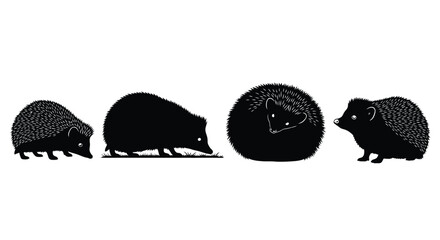 Four silhouettes of hedgehogs in different poses showing their spiky texture and form vector © Runa