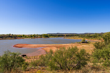 American Bison at Caprock Canyons State Park, Texas, USA