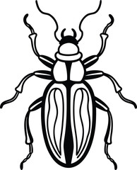 vector illustration of a beetle