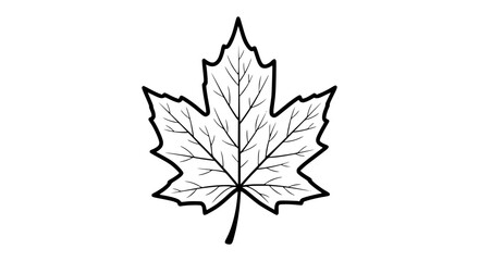 Iconic maple leaf silhouette simple outline for nature autumn and canada symbol