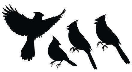 Silhouette collection of four cardinals in various poses flying perching and standing vector © Runa