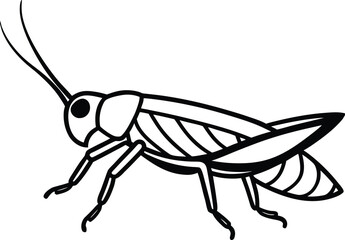 vector illustration of a bug on white