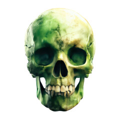 Obraz premium Realistic Green Skull with Distinct Texture and Shadows