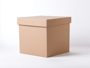 brown carton packaging box