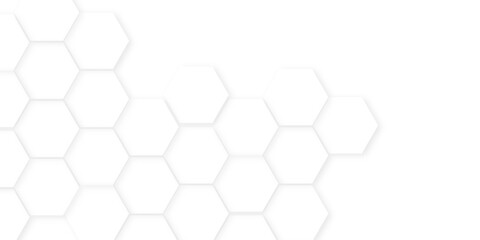 Abstract background with hexagon, modern abstract vector polygonal pattern. Futuristic honeycomb mosaic white background,white and gray hexagon honeycomb geometric copy space.
