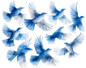 Obraz premium Collection of blue watercolor birds in graceful flight on a white background