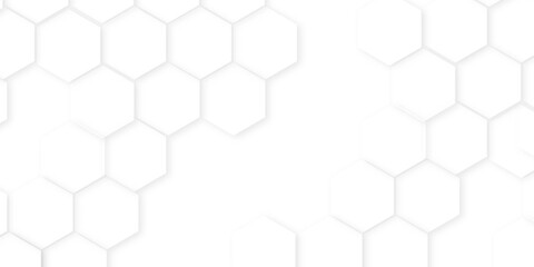 Abstract background with hexagon, modern abstract vector polygonal pattern. Futuristic honeycomb mosaic white background,white and gray hexagon honeycomb geometric copy space.
