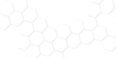 Abstract background with hexagon, modern abstract vector polygonal pattern. Futuristic honeycomb mosaic white background,white and gray hexagon honeycomb geometric copy space.