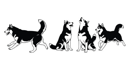 Dynamic husky dog poses captured in monochrome sketch style for graphic design projects vector © Runa