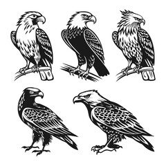 Art & IllustrationBird Silhouette Collection and Design a black-and-white tattoo-style illustration set featuring owls, hawks, falcons, and an eagle.
