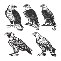 Art & IllustrationBird Silhouette Collection and Design a black-and-white tattoo-style illustration set featuring owls, hawks, falcons, and an eagle.
